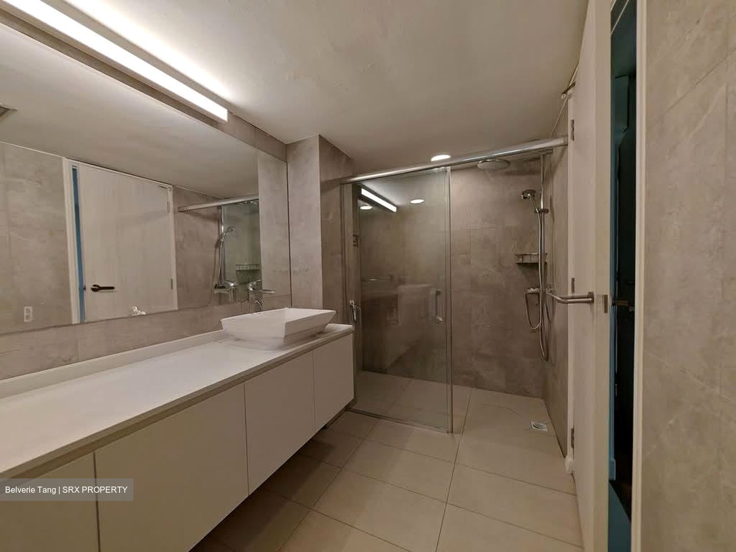 Cavenagh Lodge (D9), Apartment #621709921
